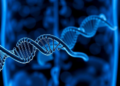 Gene Signature Linked to Metastasis May Predict Gastric Cancer Chemotherapy Response