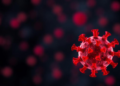 Platelet markers fall short as severity predictors in children with COVID-19, Indonesian study finds