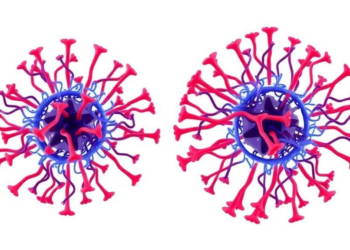 Scientists Map Two Distinct T Cell Exhaustion Programs Driving AML Relapse Before and After Transplant