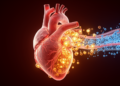 Protein Clues Reveal Why Heart Risk Lingers After Bad Cholesterol Falls