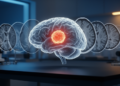 Synthetic rT1/T2 Maps Give U-Net Networks a Sharper View of Brain Tumors