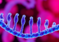 Securin Gene PTTG1 Emerges as Engine of Gastric Cancer's Stepwise March