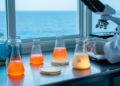 Marine Yeasts of the Western Mediterranean Reveal Hidden Diversity and Biotech Promise