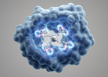 Coumarin-Hydrazone Molecules Emerge as Computational Candidates Against Tumor Enzyme CA XII