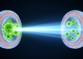 Radiotherapy for cervical cancer may wake dormant herpes viruses, study finds
