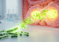 Gut bacteria transform plant sterols into sulfated metabolites that accumulate in mouse tissues