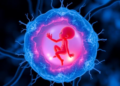 Cellular Program Behind Aging May Also Shape Embryos, CHARGE Syndrome Review Suggests