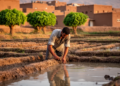 Short Sleeves and Work Outdoors Drove a Dengue Outbreak in Northern Yemen