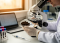 Fungal metatranscriptomics moves from descriptive ecology toward predictive science
