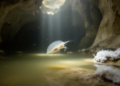 New Ostracod Species Found Thriving in Sulfidic Greek Cave Lake