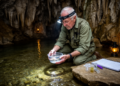 Daniel Wu Fong, Biologist Who Proved Selection Shapes Cave Animals, Dies at 70