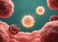 Bacterial Peptide-Primed Stem Cell Vesicles Push Colon Cancer Cells Toward Suicide