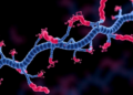 Real-World Data Show Antibody-Drug Conjugate Still Works in Late-Stage Triple-Negative Breast Cancer