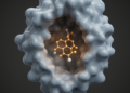Computational Study Identifies Quinazolinone Derivatives as HDAC8 Leads