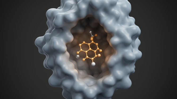 Computational Study Identifies Quinazolinone Derivatives as HDAC8 Leads
