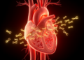 miR-486: the cardiac microRNA that shields the heart from reperfusion injury