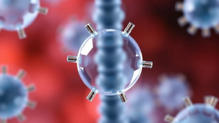 Bladder Cancer Breakthrough: BH3 Mimetics Make Cisplatin Deadly Again