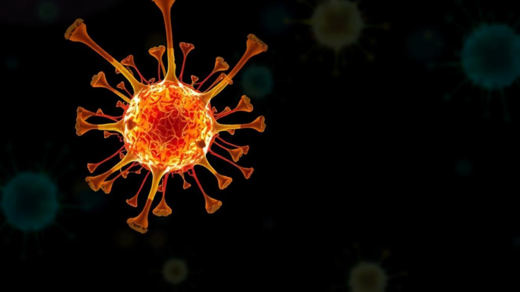 Nanoblade Device Reveals How Cells Prioritize Repair of Ruptured Nuclei