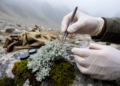 Molecular Markers Reveal New Lichen Species in Pakistan