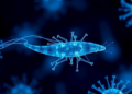 Omics Sweep of Cat Parasite Surfaces Repurposing Targets for a Drug-Resistant Disease