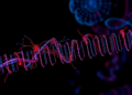 Cell cycle clock controls RNA methylation through a hidden ubiquitin code
