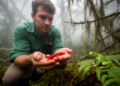 Honduran Cloud Forest Reveals 105 Reptile and Amphibian Species