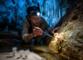 Three New Cave Pseudoscorpion Species Found in Guangxi