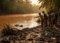 Crocodile Attack on Honduran Riverbank Reveals Rising Human-Wildlife Conflict
