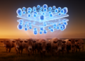Two-Hidden-Layer Neural Network Tackles Nonlinear Anthrax Epidemic Model in Animals