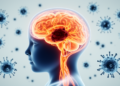 When COVID Inflammation Strikes the Brain: A Child's Rare Battle With MIS-C and Cerebral Vein Thrombosis