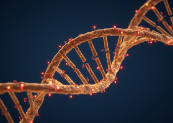 Ancient genome function persists despite frequent mutations