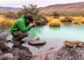 Patagonia's Hidden Frogs and Lizards: First Full Species Census of Laguna Blanca National Park