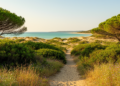 Vascular flora of the isthmus of Feniglia (southern Tuscany, Italy)