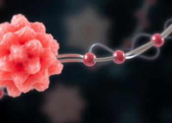 Aging Makes Fatty Chains Longer, and Shortening Them Extends Lifespan
