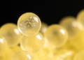 Chitosan-MOF Hydrogel Beads Capture Polystyrene Microplastics in Under an Hour