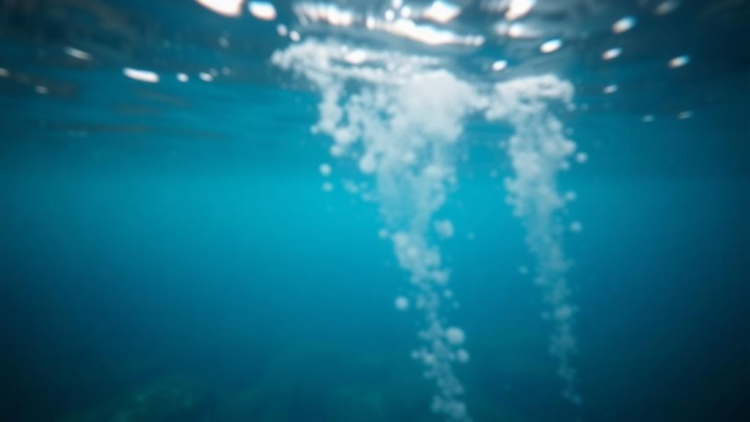 New AI Model Sees Clearly Underwater by Treating Blurry and Sharp Features Differently