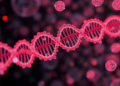 Shotgun genetic engineering lets mammalian cells test millions of designs at once