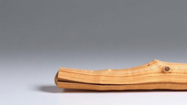 From Waste Wood to Radar Stealth: Biomass Carbon Aerogels Emerge as Ultralight Microwave Absorbers