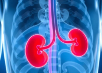 Kidney Damage Emerges as Hidden Complication in Beta-Thalassemia Survivors