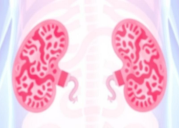 Two BCL-2 Gene Variants Linked to Protein Levels and Aggressive Bladder Cancer