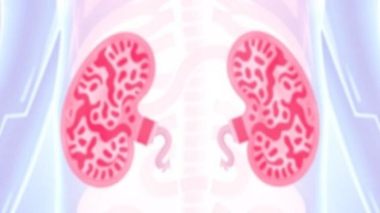 Two BCL-2 Gene Variants Linked to Protein Levels and Aggressive Bladder Cancer