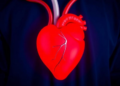 Infections After Heart Surgery Drive Up Costs, and Payment Groups Show Where