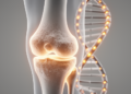 New Genetic Atlas Reveals DNA Changes That Made Humans Vulnerable to Osteoarthritis