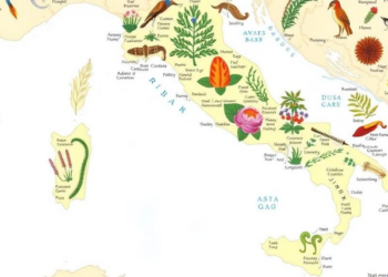 Botanists Rewrite Italy's Wild Plant Map with New Records and Corrections