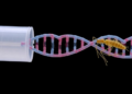 Cheap TE Buffer DNA Extraction Powers Rapid CRISPR Test for Babesia Parasites