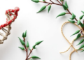 Genes and Chemistry Together Reveal Why One Chinese Sage Variety Builds Superior Medicine