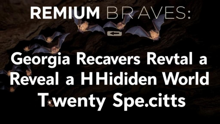 Georgia's Caves Reveal a Hidden World of Twenty Bat Species