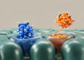 Modeling Study Shows Single-Dose Netupitant Blocks Nausea Receptors Far Longer Than Aprepitant