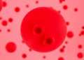 Blood Clots Are Rising Sharply in Leukemia Patients, National Study Warns