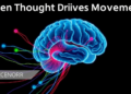 When Thought Drives Movement: How the Brain's Cognitive and Motor Systems Intertwine